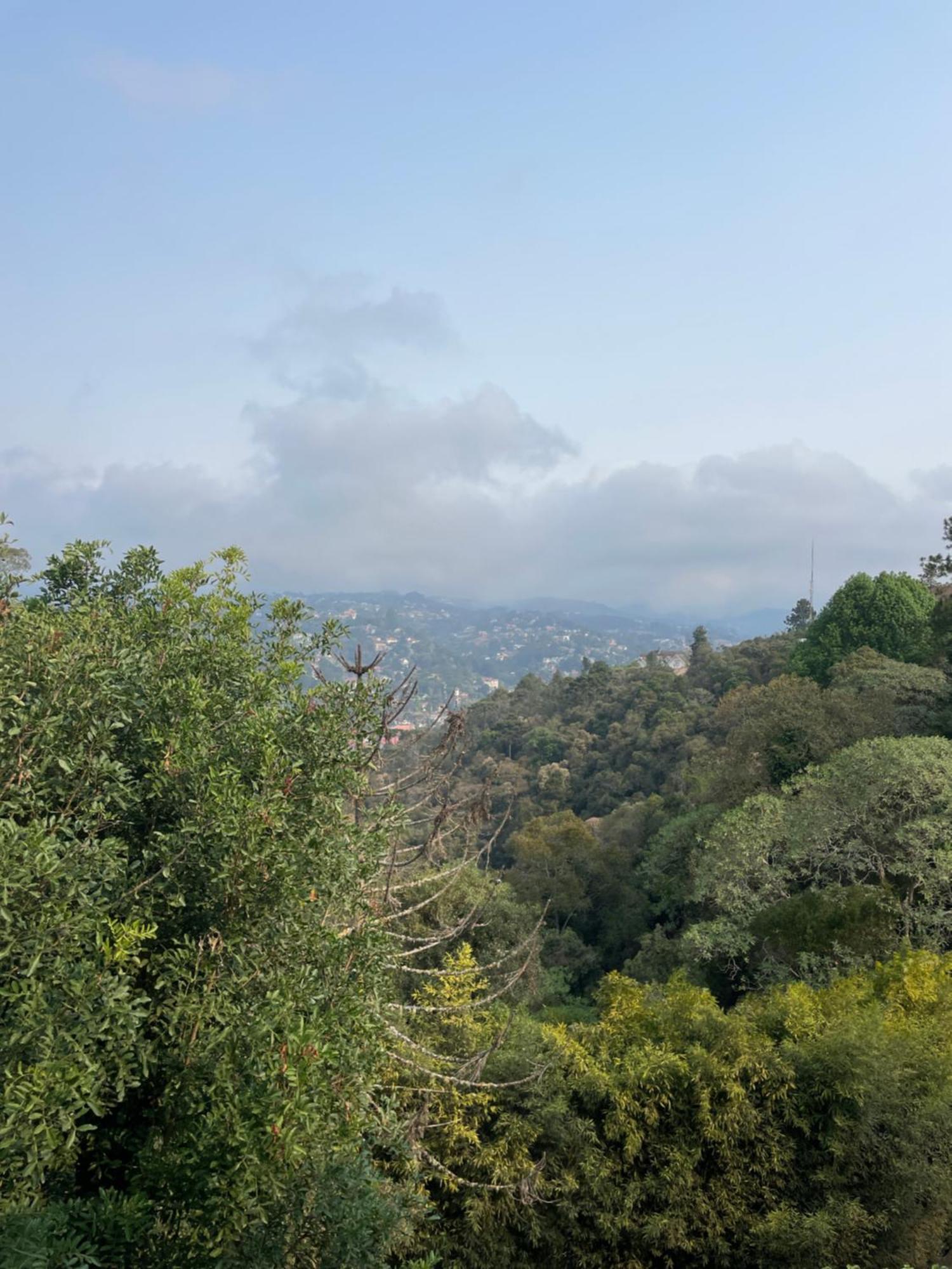 Panorama *