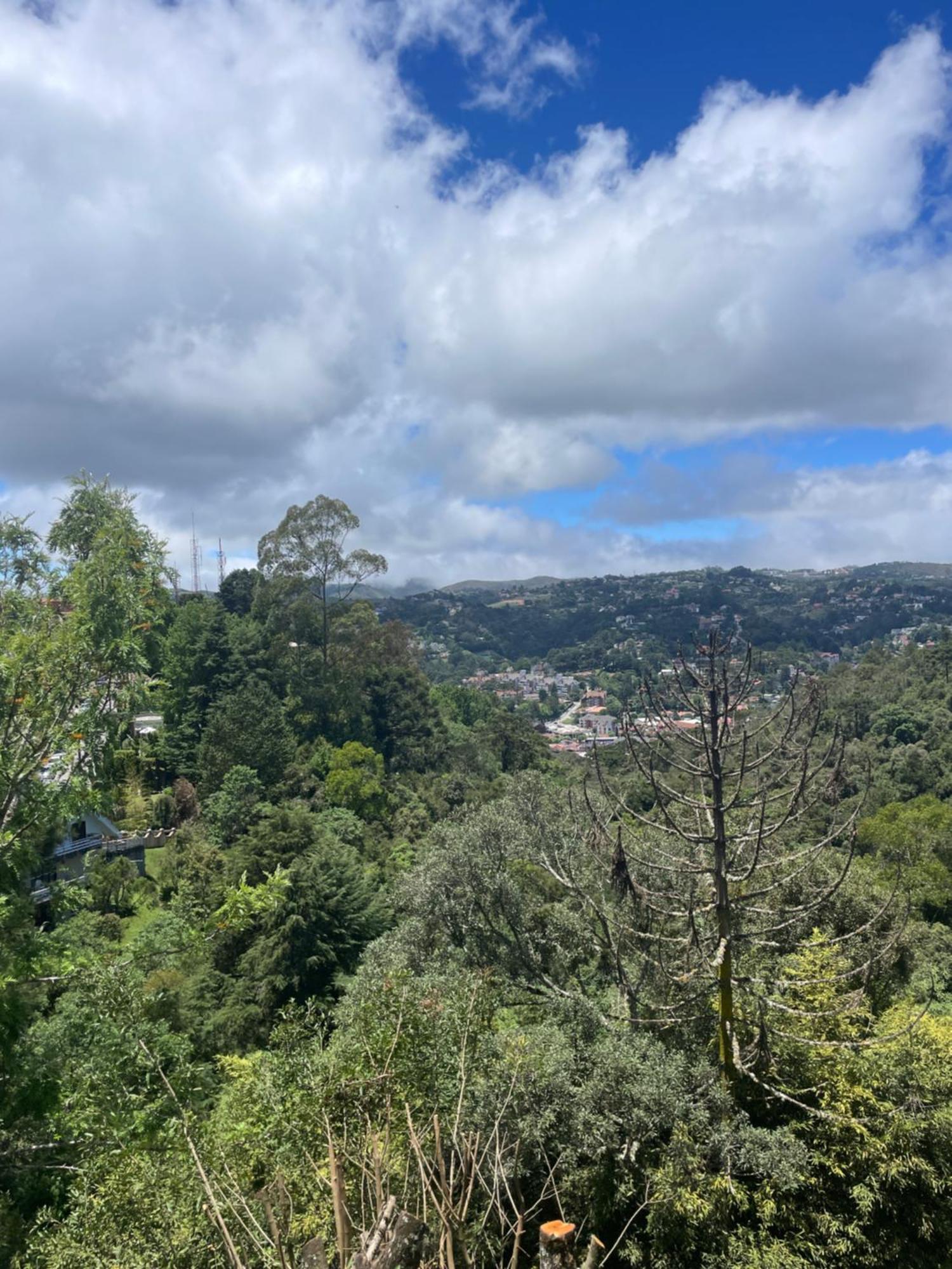 Panorama *